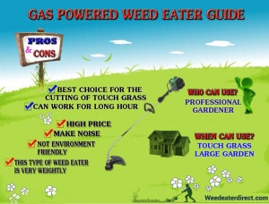 Best Gas Powered Weed Eater Reviews