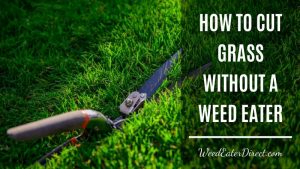 How to Cut Grass Without a Weed Eater