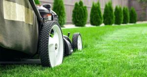 Should you establish a lawn care business