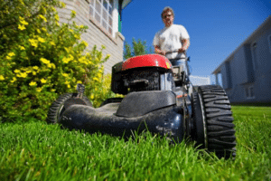 Should you establish a lawn care business