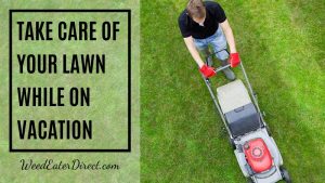 How do you Take Care of Your Lawn When You Are on a Vacation?