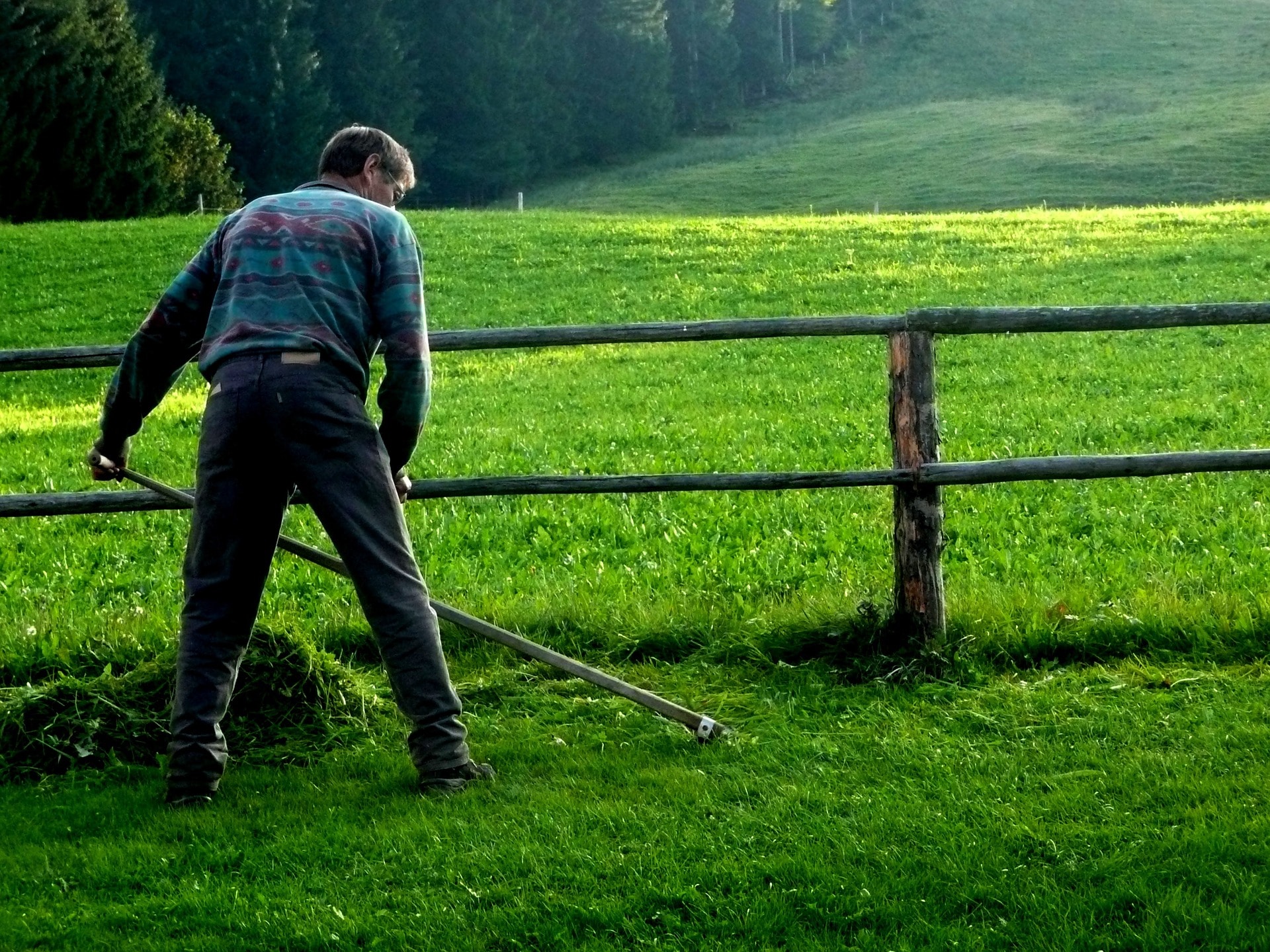 how to cut grass without a weed eater