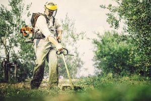 best battery operated weed eater for the money