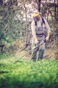 best cordless weed eater