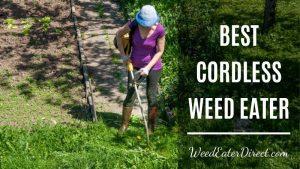 The Best Cordless Weed Eater – the Most Efficient Choice