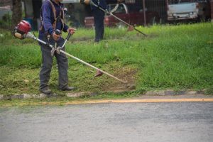 black and decker weed eater and edger