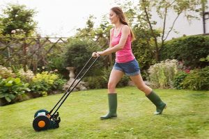 best 4 cycle weed trimmer