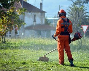 best battery operated weed eater and blower