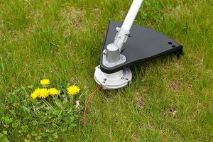 best string trimmer head for echo