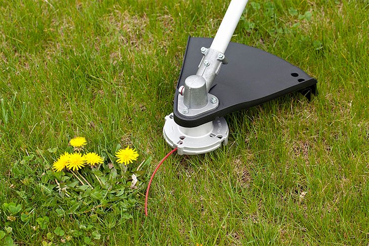 best string trimmer head for echo