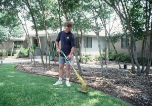 best weed eater string alternative