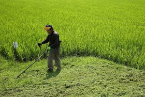 black and decker weed eater accessories