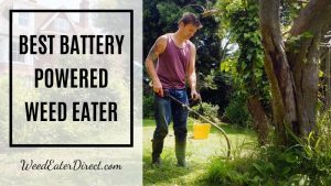 The Best Battery–powered Weed Eater on the Market – Top Pick