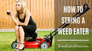 The Ultimate Guide on How to String a Weed Eater