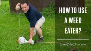 How To Use A Weed Eater (The Detailed Guide)