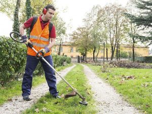 echo weed eater reviews