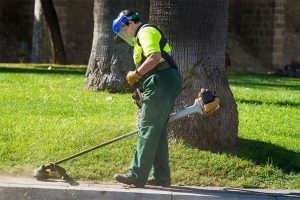 ryobi 4 cycle trimmer review