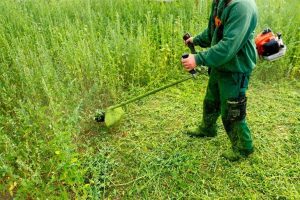 echo weed eater amazon