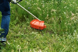 best lightweight weed eater battery