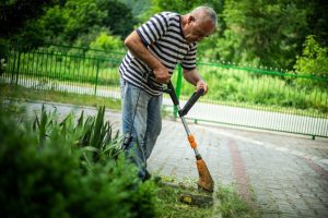 best lightweight weed eater 2020