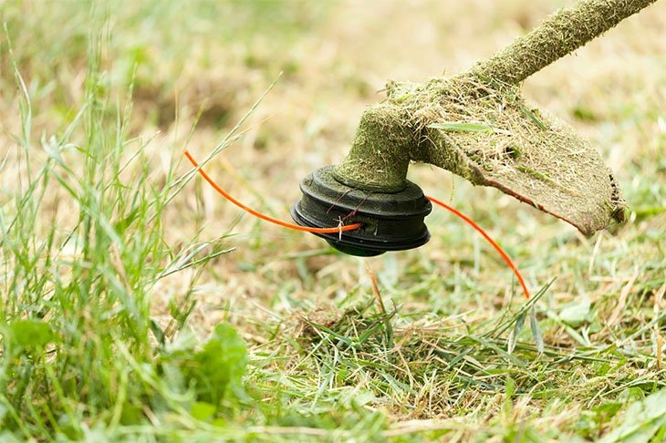lawn edging with a string trimmer