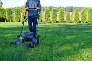 best walk behind weed trimmer